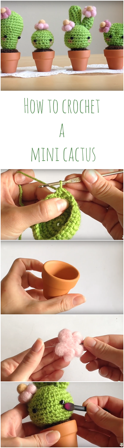 Mini cactus crochet